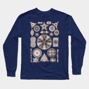 Ernst Haeckel Diatoms Lavender Gray Long Sleeve T-Shirt